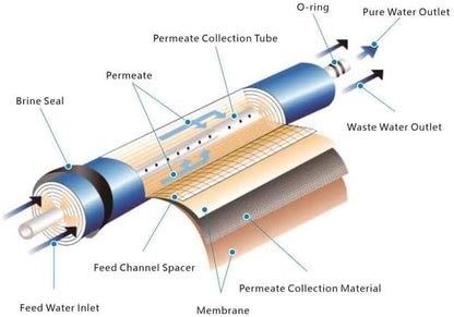 – Membrane for Reverse Osmosis Membrane GPD – Fits Under Sink RO Water Filtration System – Removes Bad Taste and Odor – Membrane Water Filter Replacement (75 GDP, Pack of 2)