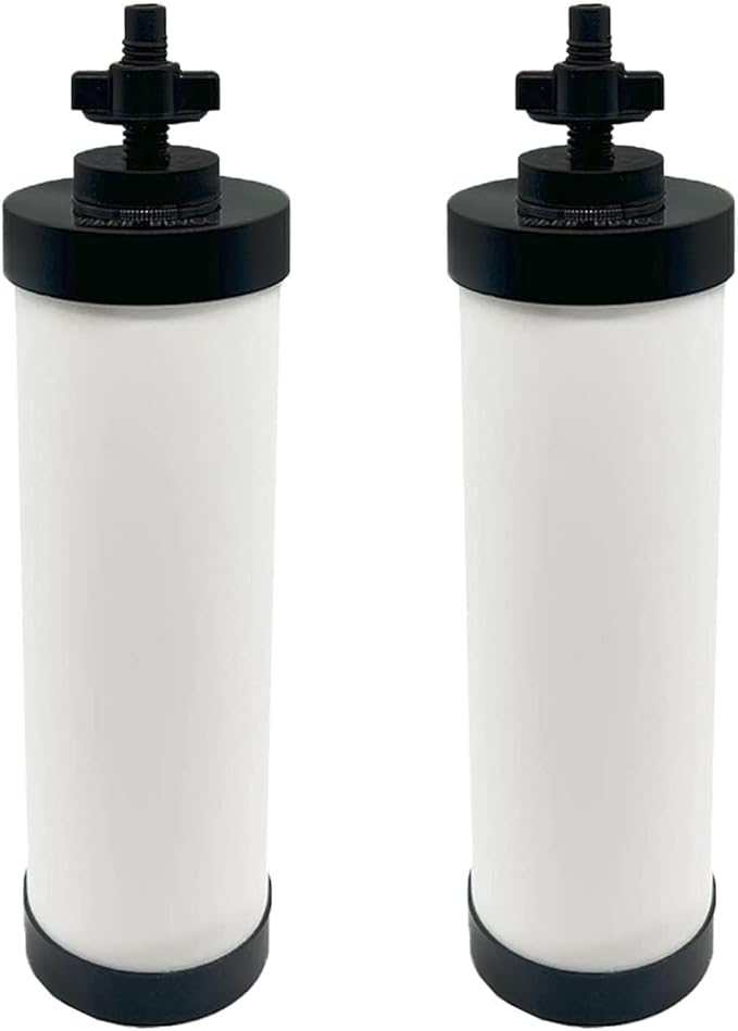 【Upgraded】Virego 2-9BB Series Filter, Ceramic Filter Silver Infused for Berkey 2-9BB Water Filter Replacement Compatible with Berkey Gravity Filtration System, Certified by NSF/ANSI 42 (Pack of 2)