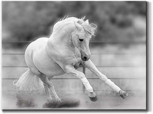 Renditions Gallery Canvas Animal Wall Art Home Paintings & Prints Vintage Dancing Horse Modern Black & White Wall Hanging Romantic Artwork Decor for Bedroom Office Kitchen - 18"x27" LT33