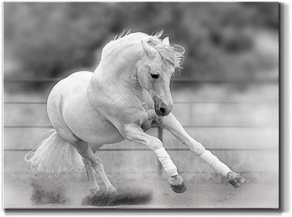 Renditions Gallery Canvas Animal Wall Art Home Paintings & Prints Vintage Dancing Horse Modern Black & White Wall Hanging Romantic Artwork Decor for Bedroom Office Kitchen - 12"x18" LT33