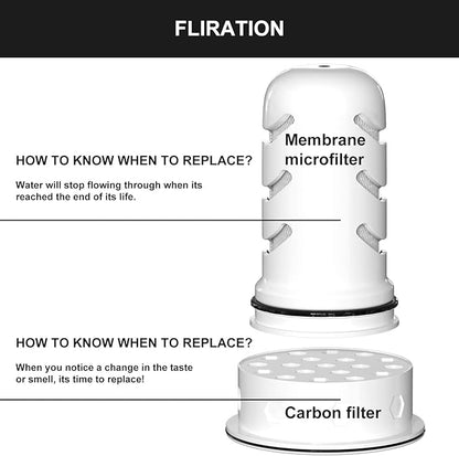 Water Pitcher Filter Replacement Compatible with LifeSt Home Dispenser 18c/Glass Pitcher 7c/Plastic Pitcher 10c/Plastic Pitcher 7c, 2 Membrane Micro Filter and 2 Activated Carbon