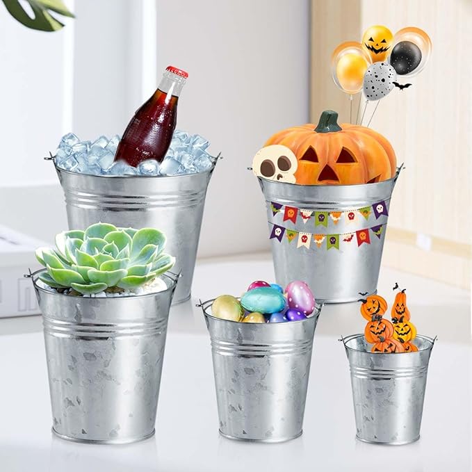 OBTANIM 8 Pack Galvanized Metal Buckets with Handle Ice Pails for Plants, Succulents, Party Favors Organizing, Rustic Home Decor or Classrooms Pencil Storage (4 x 2.8 inch)