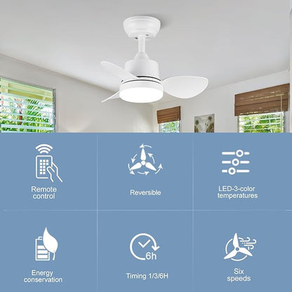 White Small Ceiling Fan with Light 24-Inch, Remote Control, 3-Color Dimmable, Reversible, 6-Speed - Ideal for Kitchen, Bedroom, Balcony, Study - Easy Installation