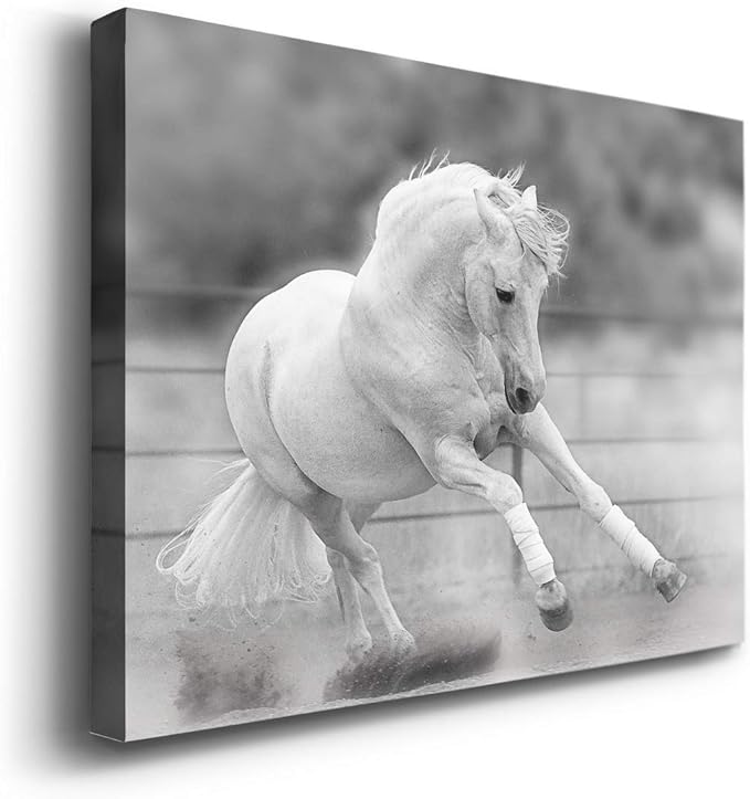 Renditions Gallery Canvas Animal Wall Art Home Paintings & Prints Vintage Dancing Horse Modern Black & White Wall Hanging Romantic Artwork Decor for Bedroom Office Kitchen - 32"x48" LT33