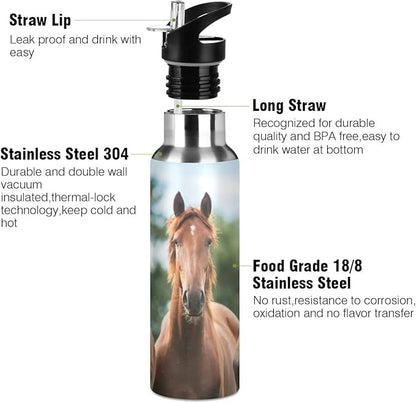 xigua 22 OZ Thinking Horse Water Bottle with Straw, Sports Water Bottle BPA Free Stainless Steel Water Jugs for Gym, Kitchen, Working, Outdoor