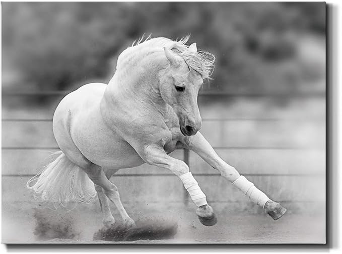 Renditions Gallery Canvas Animal Wall Art Home Paintings & Prints Vintage Dancing Horse Modern Black & White Wall Hanging Romantic Artwork Decor for Bedroom Office Kitchen - 32"x48" LT33