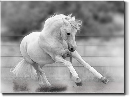 Renditions Gallery Canvas Animal Wall Art Home Paintings & Prints Vintage Dancing Horse Modern Black & White Wall Hanging Romantic Artwork Decor for Bedroom Office Kitchen - 24"x36" LT33