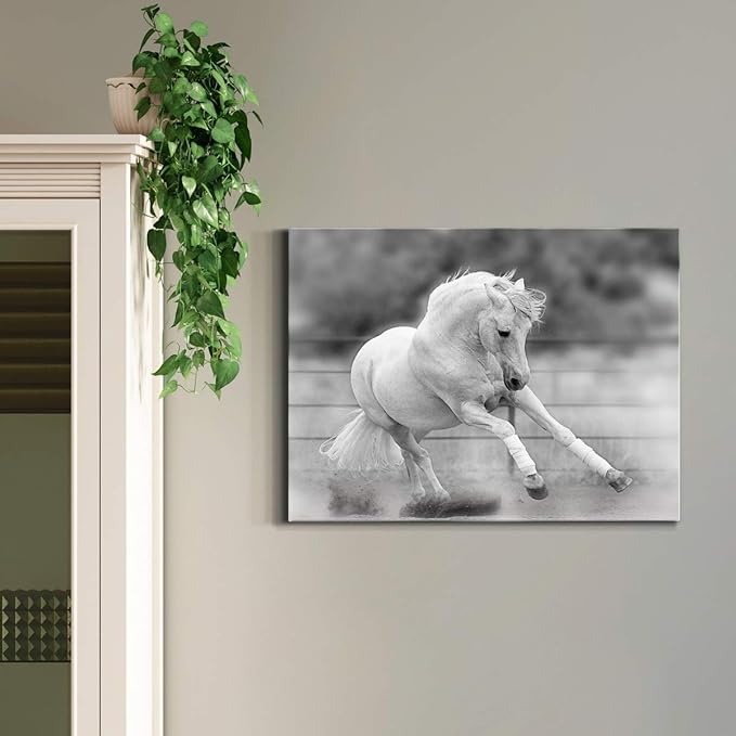 Renditions Gallery Canvas Animal Wall Art Home Paintings & Prints Vintage Dancing Horse Modern Black & White Wall Hanging Romantic Artwork Decor for Bedroom Office Kitchen - 18"x27" LT33