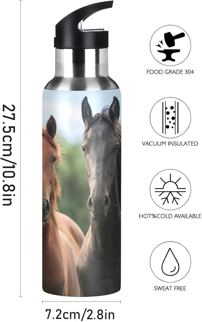 xigua 22 OZ Thinking Horse Water Bottle with Straw, Sports Water Bottle BPA Free Stainless Steel Water Jugs for Gym, Kitchen, Working, Outdoor