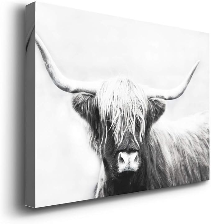 Renditions Gallery Canvas Animal Wall Art Home Paintings & Prints Highland Longhorn Cow Modern Black & White Glam Horror Artwork Decorations for Bedroom Office Kitchen - 8"x12" LT33