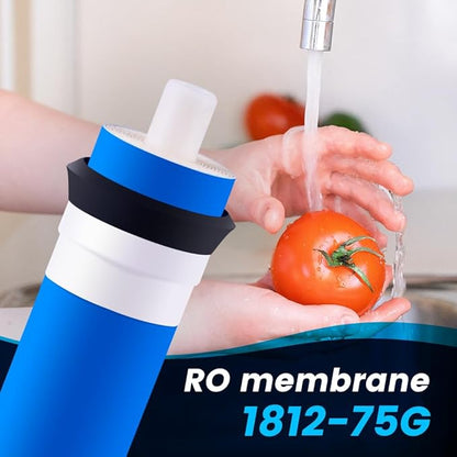 – Membrane for Reverse Osmosis Membrane GPD – Fits Under Sink RO Water Filtration System – Removes Bad Taste and Odor – Membrane Water Filter Replacement (75 GPD, Pack of 1)