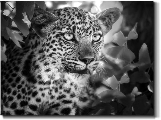 Renditions Gallery Canvas Animal Wall Art Home Paintings & Prints Vintage African Leopard Modern Black & White Safari Wall Hanging Artwork Decor for Bedroom Office Kitchen - 24"x36" LT33