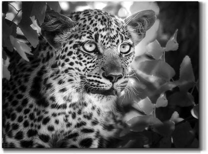 Renditions Gallery Canvas Animal Wall Art Home Paintings & Prints Vintage African Leopard Modern Black & White Safari Wall Hanging Artwork Decor for Bedroom Office Kitchen - 8"x12" LT33