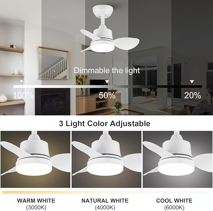 White Small Ceiling Fan with Light 24-Inch, Remote Control, 3-Color Dimmable, Reversible, 6-Speed - Ideal for Kitchen, Bedroom, Balcony, Study - Easy Installation