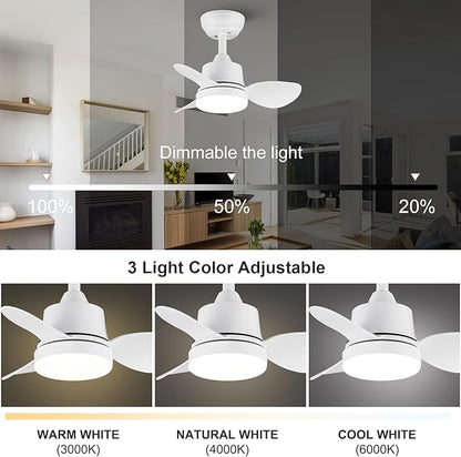 White Small Ceiling Fan with Light 24-Inch, Remote Control, 3-Color Dimmable, Reversible, 6-Speed - Ideal for Kitchen, Bedroom, Balcony, Study - Easy Installation