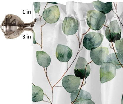 Watercolor Eucalyptus Vine leaves Valance Curtains for Windows-Summer Green White Rod Pocket Window Topper Treatments Simi Sheer Short Curtains for Kitchen Bedroom Living Room,54" X 18" -1 Panel,