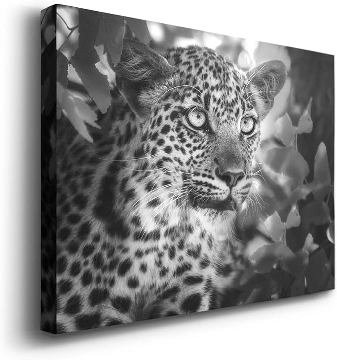 Renditions Gallery Canvas Animal Wall Art Home Paintings & Prints Vintage African Leopard Modern Black & White Safari Wall Hanging Artwork Decor for Bedroom Office Kitchen - 8"x12" LT33