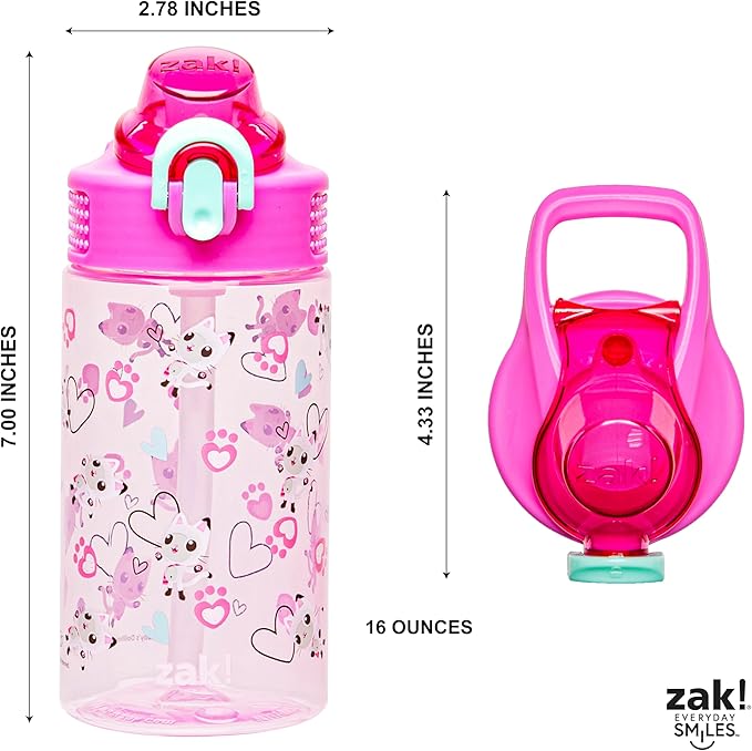 Zak Designs Sage DreamWorks Gabby's Dollhouse Kids Water Bottle For School or Travel, 16oz Durable Plastic Water Bottle With Straw, Handle, and Leak-Proof, Pop-Up Spout Cover (Pandy Paws)