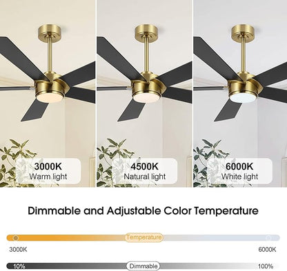 54" Ceiling Fan with Light and Remote Control, Modern Dimmable LED Light, 6-Speed Noiseless Reversible DC Motor, 5 Plywood Ceiling Fan for Kitchen Bedroom Living Room Black/Gold