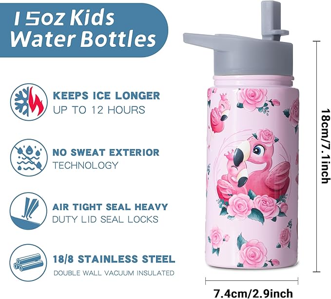 15oz Flamingo Ballet Insulated Stainless Steel Water Bottle With Straw & Brush, Christmas Birthday Gifts for School - Hand Wash Only