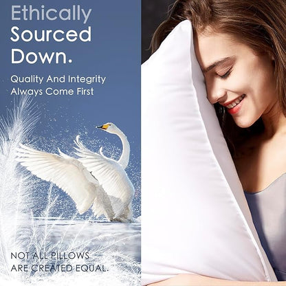 100% Canadian White Down Pillow - Luxury Sleeping Pillow for Back, Stomach & Side Sleepers - 800 Fill Power Bed Pillow (King-Soft)