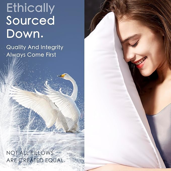 100% Canadian White Down Pillow - Luxury Sleeping Pillow for Back, Stomach & Side Sleepers - 800 Fill Power Bed Pillow (Queen-Firm)