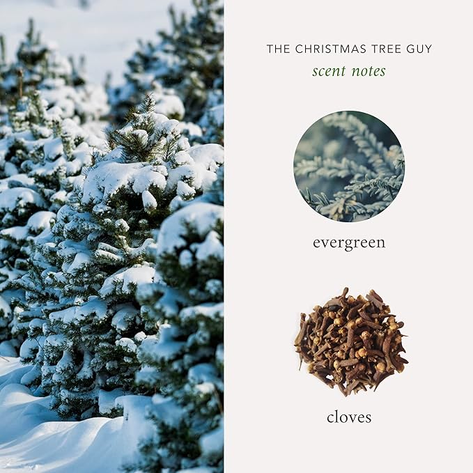 NYC Inspired Scented Candle: The Christmas Tree Guy - Evergreen & Cloves Scent, 9oz, 50 Hour Burn, Vegan Soy & Coconut Blend Candle for Home Decor, Gift for Women & Men