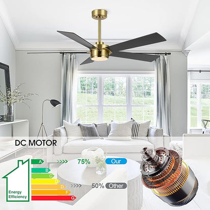 54" Ceiling Fan with Light and Remote Control, Modern Dimmable LED Light, 6-Speed Noiseless Reversible DC Motor, 5 Plywood Ceiling Fan for Kitchen Bedroom Living Room Black/Gold