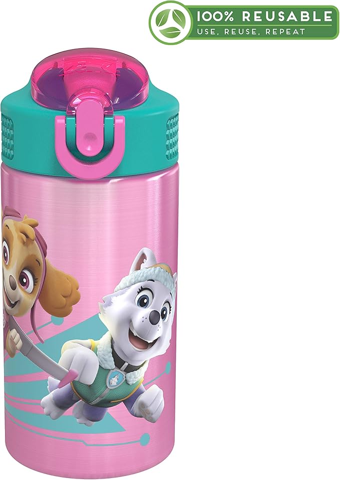 Zak Designs 18/8 Stainless Steel Kids Water Bottle with Flip-up Straw Locking Spout Cover, Durable Cup for Sports or Travel (15.5oz, Paw Patrol Skye),PWPT-S732