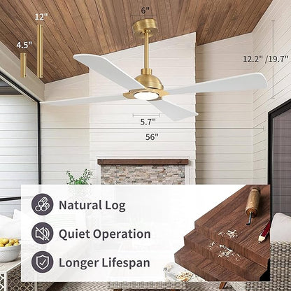 WINGBO 56 Inch DC Ceiling Fan with Lights and Remote, 4 Solid Wood Blades, 3CCT, 6-Speeds Reversible DC Motor, Modern Ceiling Fan for Bedroom Living Room Kitchen, Brass and White