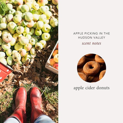 NYC Inspired Scented Candle: Apple Picking in The Hudson Valley - Apple Cider Donuts Scented, 9oz, 50 Hour Burn, Vegan Soy & Coconut Blend Candle for Home Decor, Gift for Women & Men