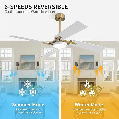 WINGBO 56 Inch DC Ceiling Fan with Lights and Remote, 4 Plywood Blades, 6-Speed Reversible DC Motor, Dimmable, 3CCT, Farmhouse Ceiling Fan for Bedroom Living Room Kitchen, Brass and White