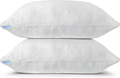 2 Pack Queen Size Rayon Derived from Bamboo Pillows for Sleeping, Cooling Shredded Memory Foam Pillow Sets for Back, Side, Stomach Sleepers, Adjustable, Removable Cover, Queen (Pack of 2)