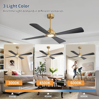 WINGBO 56 Inch DC Ceiling Fan with Lights and Remote, 4 Solid Wood Blades, 3CCT, 6-Speeds Reversible DC Motor, Modern Ceiling Fan for Bedroom Living Room Kitchen, Brass and Black