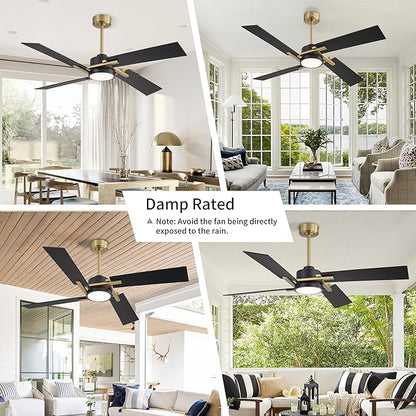 WINGBO 56 Inch DC Ceiling Fan with Lights and Remote, 4 Plywood Blades, 6-Speed Reversible DC Motor, Dimmable, 3CCT, Farmhouse Ceiling Fan for Bedroom Living Room Kitchen, Brass and Black