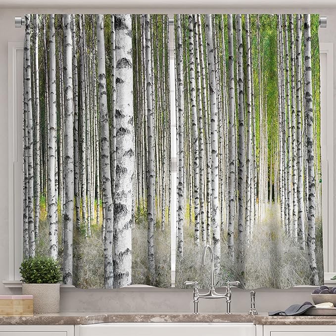 Ambesonne Birch Tree Long Kitchen Curtains, Peaceful Late Summer Woodland Trunks Leaves Foliage Serene Tranquil, Two Panels Drapes with Rod Pocket Room Decor, 55" x 45", Grey Green